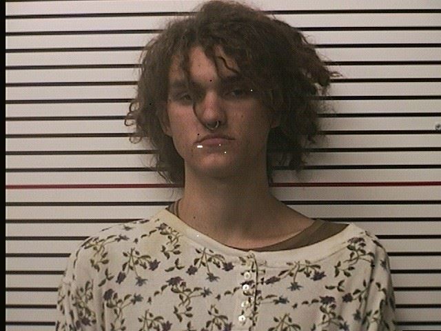 Carbondale destruction of property arrest from North Carolina
